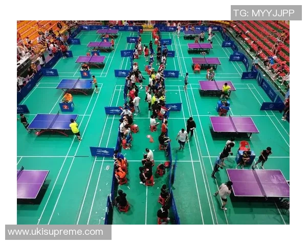 深圳乒乓球队的崛起与发展探讨聚焦乒乓球运动的力量与未来